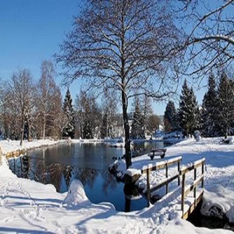 Hotel An Der Sonne & Restaurant Zum Schneiger Шёнвальд Экстерьер фото